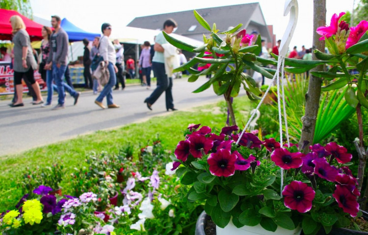 Herényi Virágút polgárőrökkel