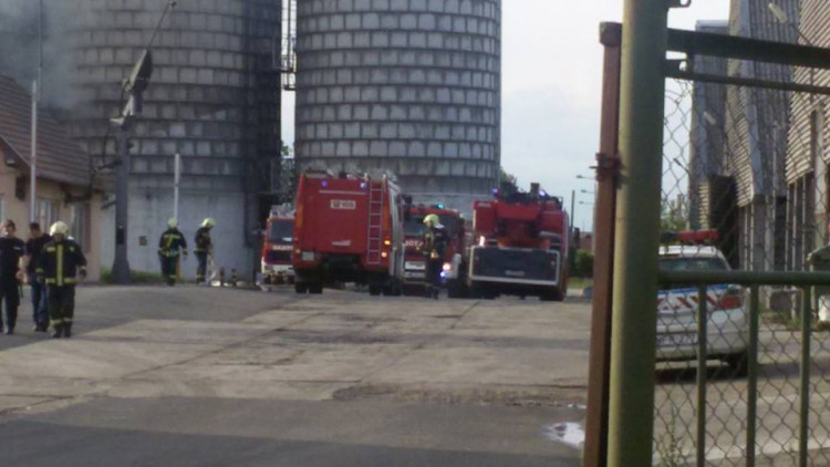 Polgárőrök vették észre a tüzet