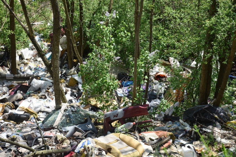 Magasból zúdítják a dögöket és a hulladékot egy vasi erdőben