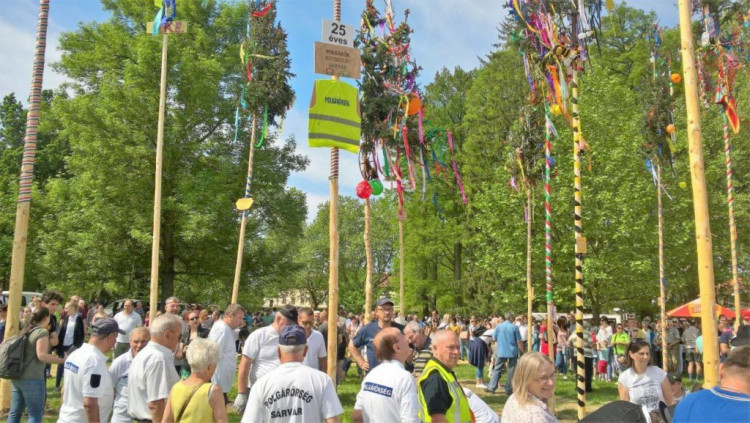 50 májusfát állítottak Sárváron