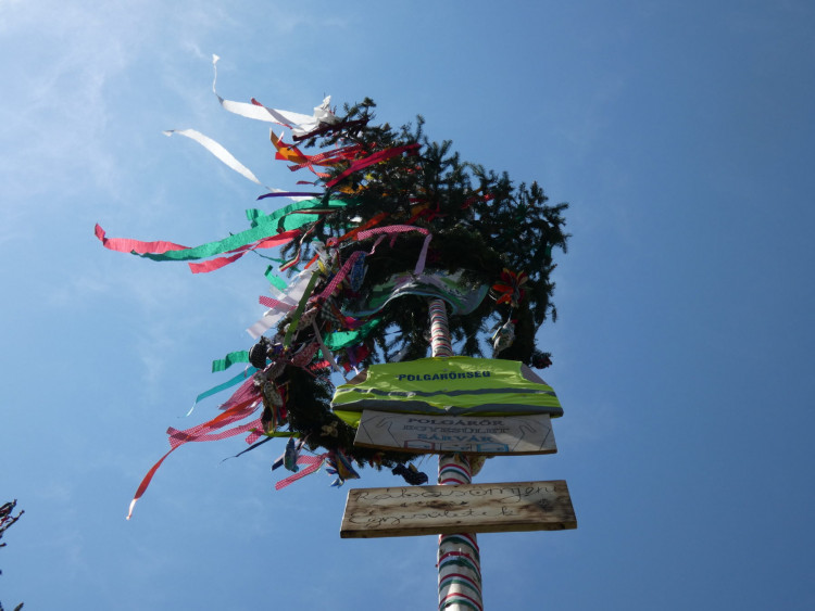 MÁJUSFA ÁLLÍTÁS SÁRVÁRON