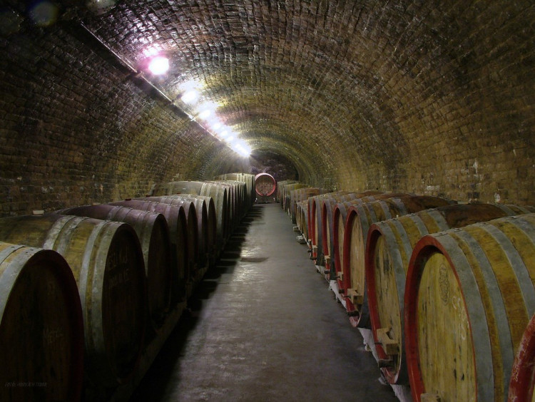 Az ősz egyik veszélye a mustgáz