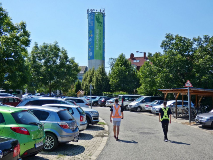 Közösségi szolgálatos középiskolások Sárváron