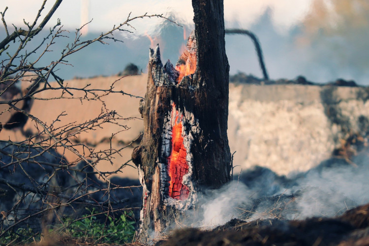 A szabadtéri tüzek megelőzésére fókuszál a legújabb tűzvédelmi teszt