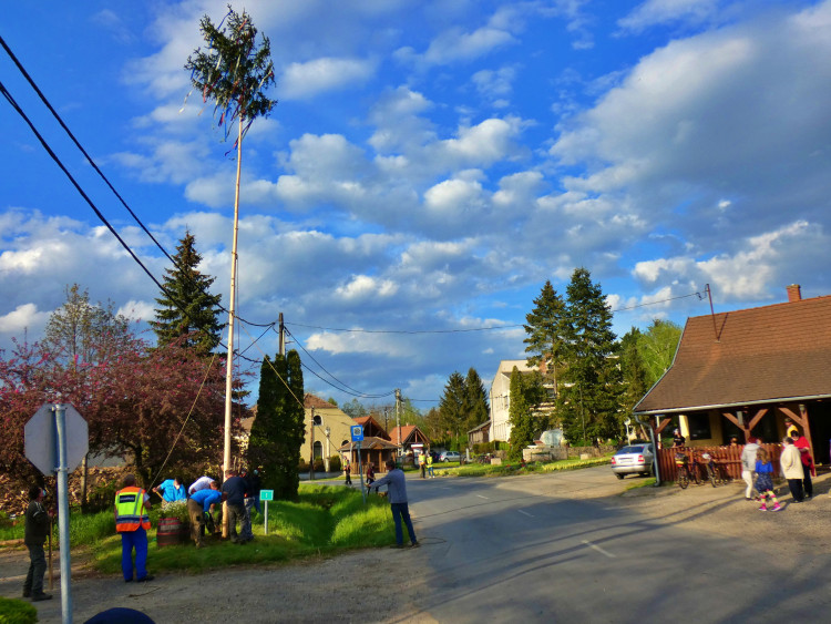 Májusfa állítás olaszfai polgárőrökkel