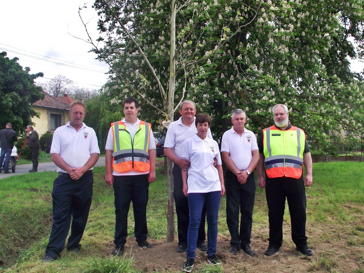 Emlékfát ültettek az olaszfai polgárőrök