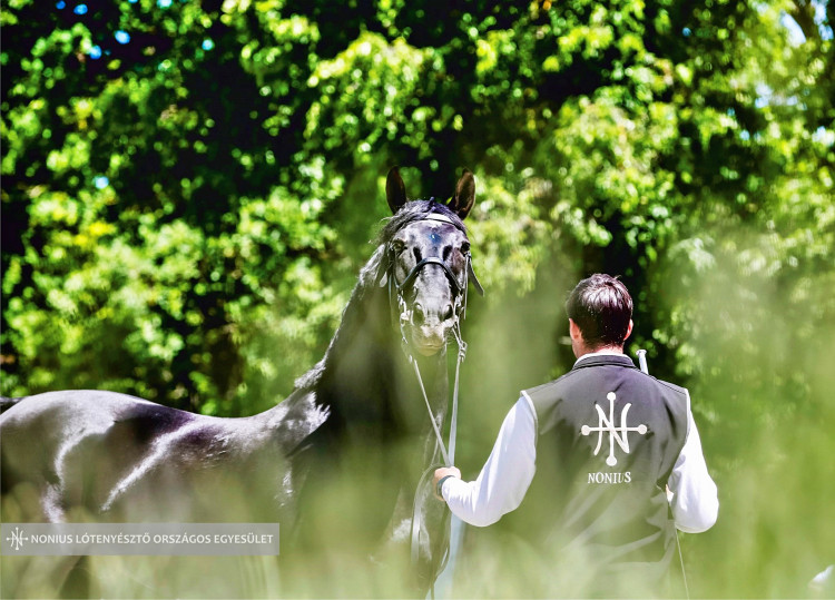 Olaszfai polgárőrök a Nóniuszszemlén