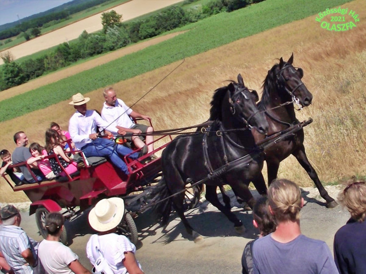Olaszfai aratónap polgárőrökkel 
