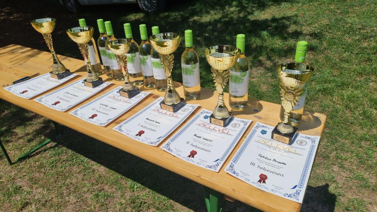 Nemzetközi Kispuska Lőverseny Csepreg