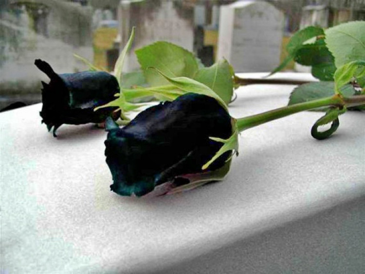 Elhunyt Takács János hosszúperesztegi polgárőr