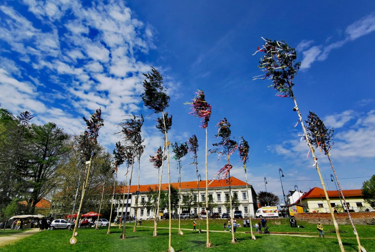 Májusfa állítás polgárőrökkel