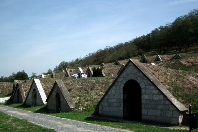 A szüret velejárója a mustgáz okozta veszély