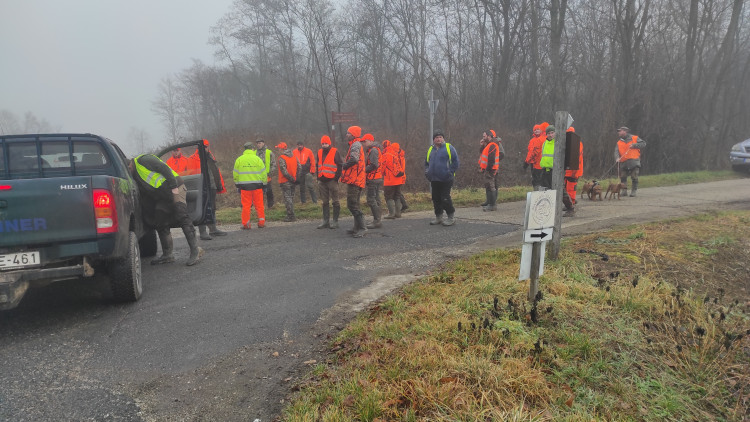 Nagyvad ritkító vadászat miatti forgalomlassítás Kőszeg és Horvátzsidány között