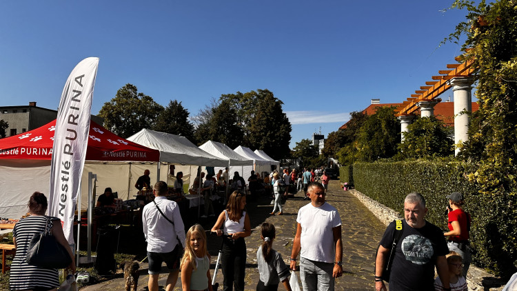 15. születésnapját ünnepelte a Fekete István Állatvédő Egyesület Szombathelyen   