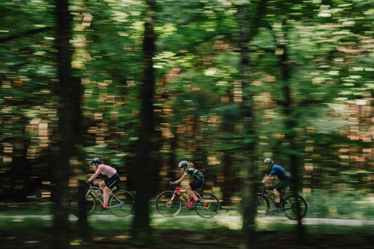 BIANCHI MAGYAR GRAVEL KUPA SOROZAT 