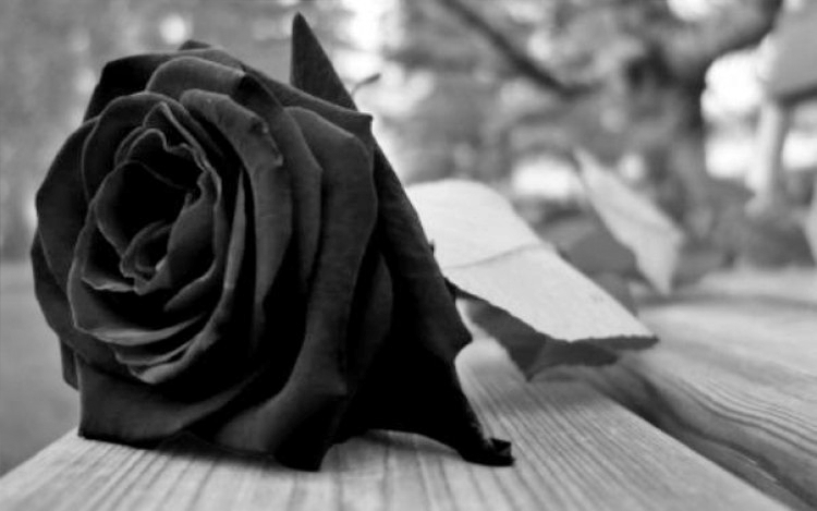 Varga Miklós emlékére